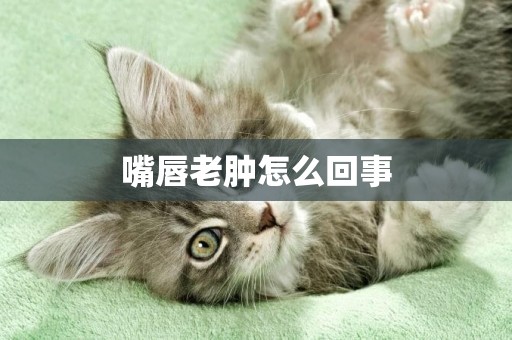 嘴唇老腫怎么回事
