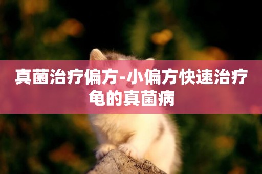 真菌治療偏方-小偏方快速治療龜的真菌病