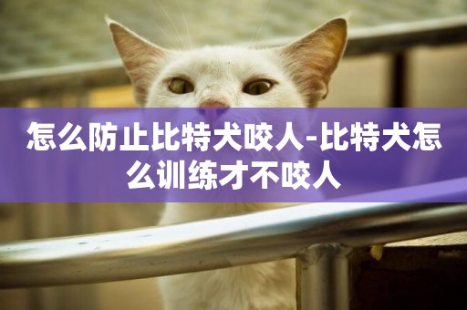 怎么防止比特犬咬人-比特犬怎么訓練才不咬人