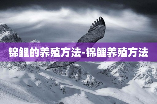 錦鯉的養殖方法-錦鯉養殖方法