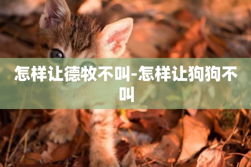 怎樣讓德牧不叫-怎樣讓狗狗不叫