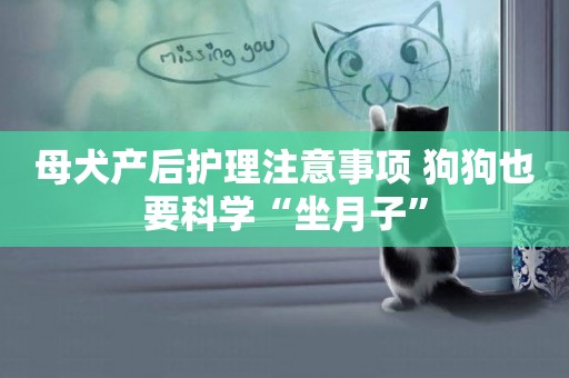 母犬產后護理注意事項 狗狗也要科學“坐月子”