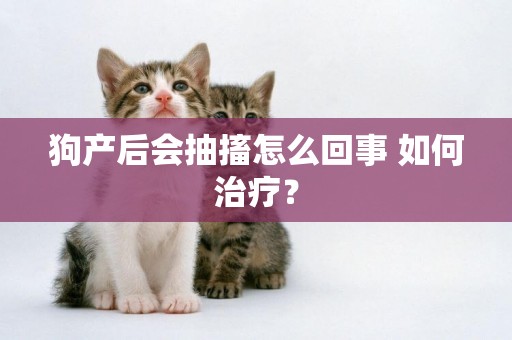 狗產后會抽搐怎么回事 如何治療？