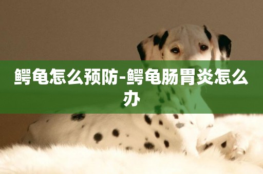 鱷龜怎么預防-鱷龜腸胃炎怎么辦
