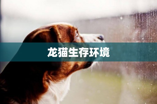 龍貓生存環境