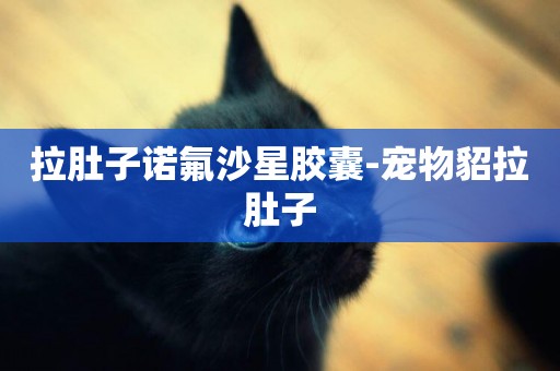 拉肚子諾氟沙星膠囊-寵物貂拉肚子