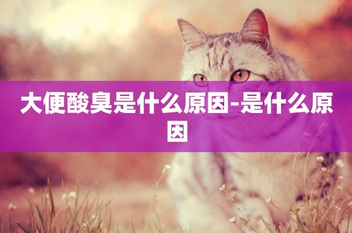 大便酸臭是什么原因-是什么原因