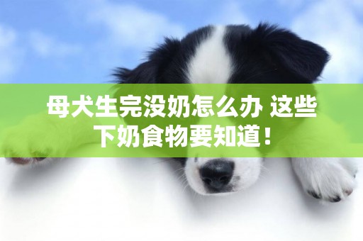 母犬生完沒奶怎么辦 這些下奶食物要知道！