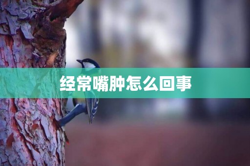 經常嘴腫怎么回事