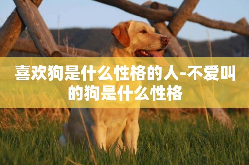 喜歡狗是什么性格的人-不愛叫的狗是什么性格