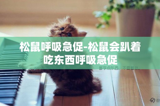 松鼠呼吸急促-松鼠會趴著吃東西呼吸急促