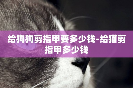 給狗狗剪指甲要多少錢-給貓剪指甲多少錢