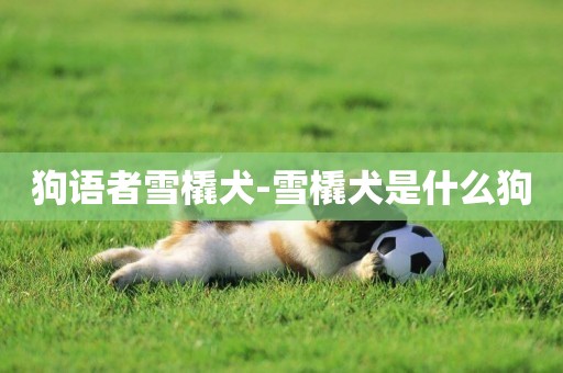 狗語者雪橇犬-雪橇犬是什么狗