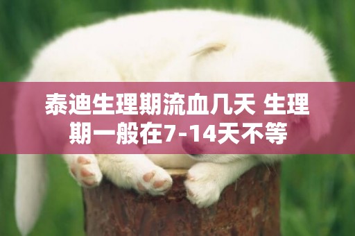泰迪生理期流血幾天 生理期一般在7-14天不等