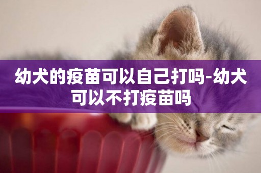 幼犬的疫苗可以自己打嗎-幼犬可以不打疫苗嗎