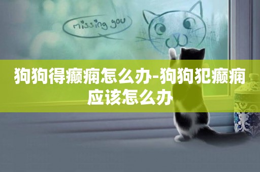 狗狗得癲癇怎么辦-狗狗犯癲癇應該怎么辦