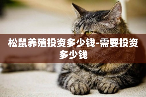 松鼠養殖投資多少錢-需要投資多少錢