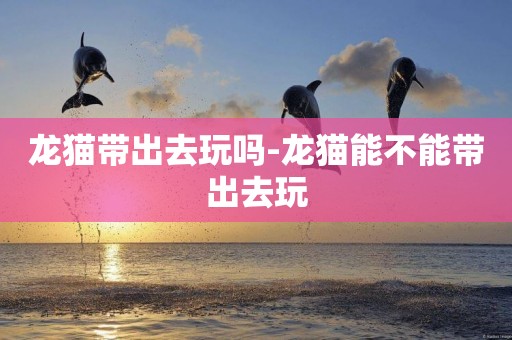 龍貓帶出去玩嗎-龍貓能不能帶出去玩