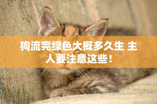 狗流完綠色大概多久生 主人要注意這些！