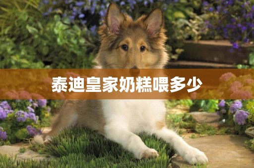 泰迪皇家奶糕喂多少