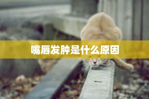 嘴唇發腫是什么原因