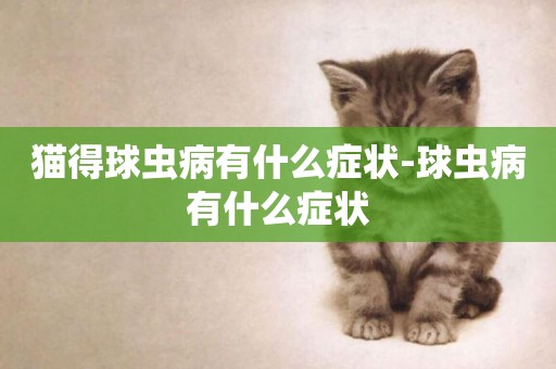 貓得球蟲病有什么癥狀-球蟲病有什么癥狀
