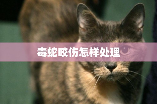 毒蛇咬傷怎樣處理