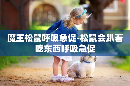 魔王松鼠呼吸急促-松鼠會趴著吃東西呼吸急促