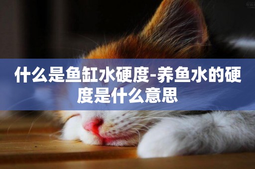 什么是魚缸水硬度-養魚水的硬度是什么意思