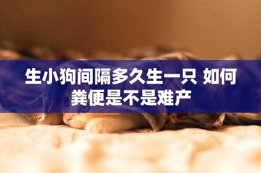 生小狗間隔多久生一只 如何糞便是不是難產