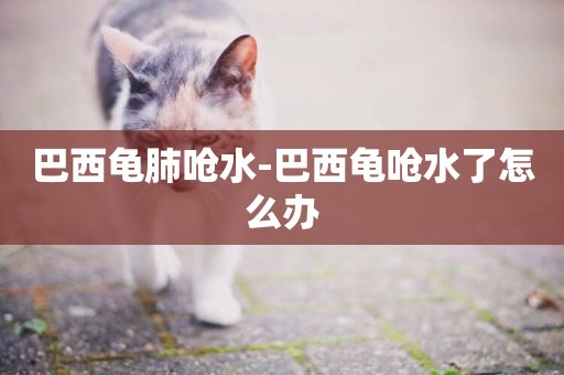 巴西龜肺嗆水-巴西龜嗆水了怎么辦