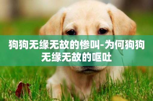 狗狗無緣無故的慘叫-為何狗狗無緣無故的嘔吐