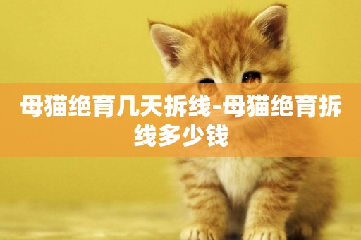 母貓絕育幾天拆線-母貓絕育拆線多少錢