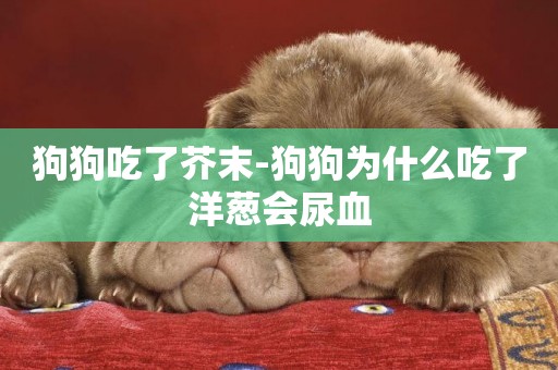 狗狗吃了芥末-狗狗為什么吃了洋蔥會尿血