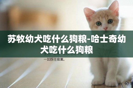 蘇牧幼犬吃什么狗糧-哈士奇幼犬吃什么狗糧