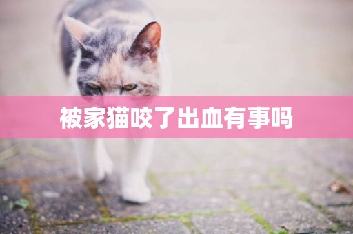 被家貓咬了出血有事嗎