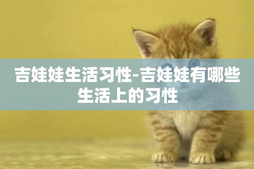 吉娃娃生活習性-吉娃娃有哪些生活上的習性