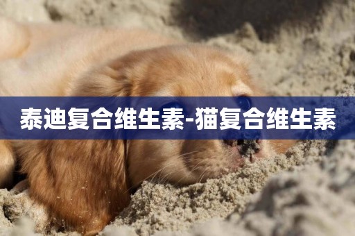 泰迪復合維生素-貓復合維生素