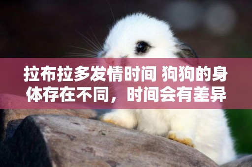 拉布拉多發情時間 狗狗的身體存在不同，時間會有差異的！