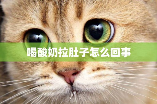 喝酸奶拉肚子怎么回事