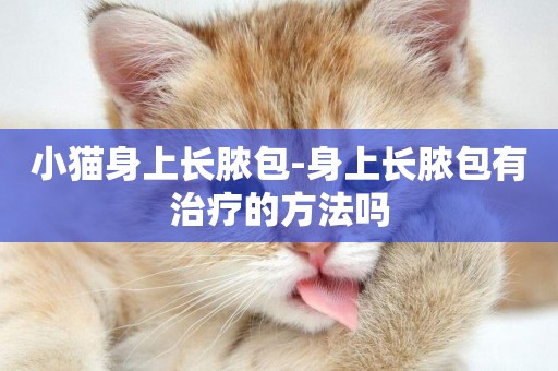 小貓身上長膿包-身上長膿包有治療的方法嗎