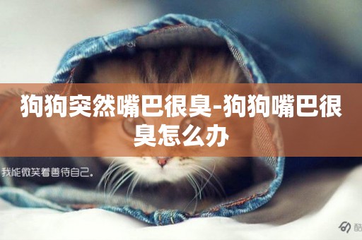 狗狗突然嘴巴很臭-狗狗嘴巴很臭怎么辦