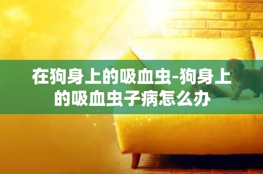 在狗身上的吸血蟲-狗身上的吸血蟲子病怎么辦