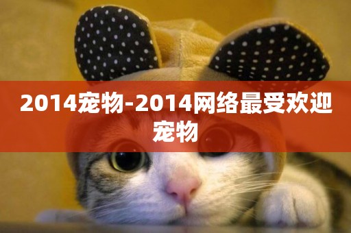 2014寵物-2014網絡最受歡迎寵物