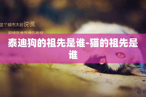 泰迪狗的祖先是誰-貓的祖先是誰
