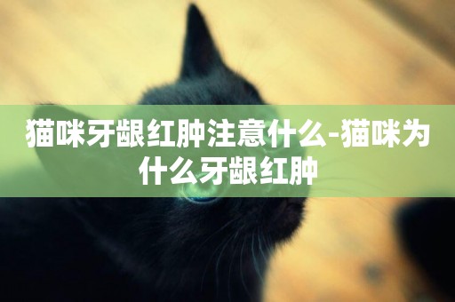 貓咪牙齦紅腫注意什么-貓咪為什么牙齦紅腫