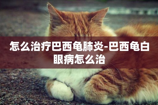 怎么治療巴西龜肺炎-巴西龜白眼病怎么治