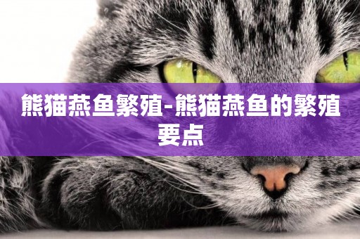 熊貓燕魚繁殖-熊貓燕魚的繁殖要點