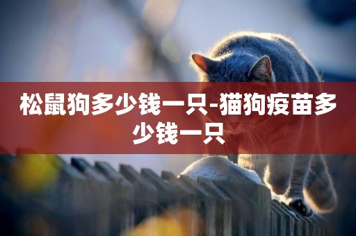 松鼠狗多少錢一只-貓狗疫苗多少錢一只