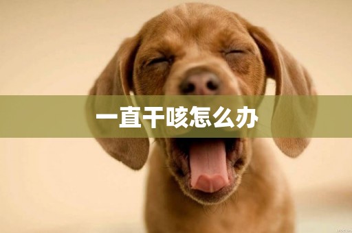 一直干咳怎么辦